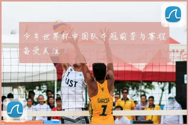 今年世界杯中国队夺冠前景与赛程备受关注