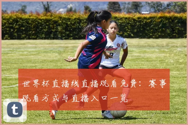 世界杯直播线直播观看免费:赛事观看方式与直播入口一览