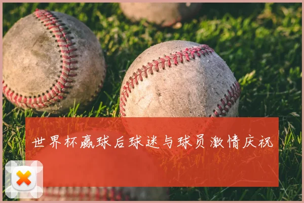 世界杯赢球后球迷与球员激情庆祝